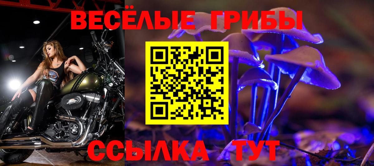 Псилоцибиновые грибы мицелий Нефтеюганск